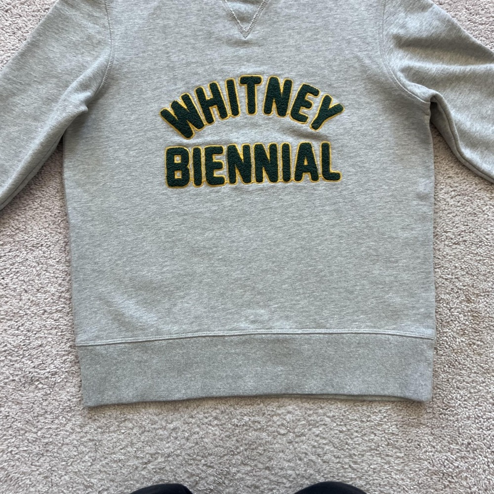 Hillflint X Whitney Shop Whitney Biennial Sweatshirt Mens Small Gray Graphic - Picture 3 of 15